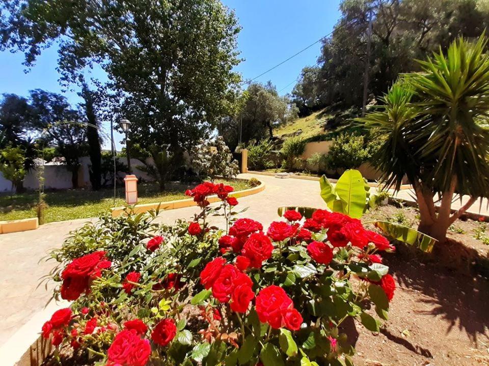 Villa Silvia Ágios Matthaíos Kültér fotó